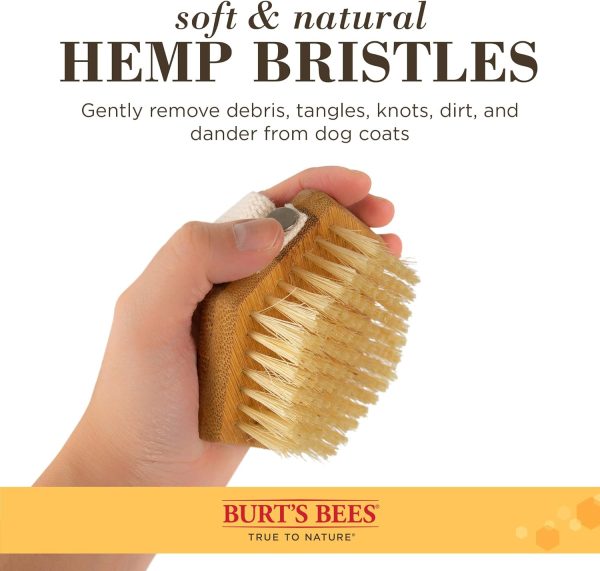 1770416688_81FLV-gjfYL._AC_SL1500_.jpg Burt's Bees for Pets Palm Brush with Hemp Bristles Best Ergonomic Dog Brush To Groom Large Dogs Easy to Hold Dog Brush Handle Reduces Stress On Your Wrist Ideal for Daily Grooming (Pack of 24)