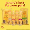 1770416690_81ohuhWO2xL._AC_SL1500_.jpg Burt's Bees for Pets Palm Brush with Hemp Bristles Best Ergonomic Dog Brush To Groom Large Dogs Easy to Hold Dog Brush Handle Reduces Stress On Your Wrist Ideal for Daily Grooming (Pack of 24)
