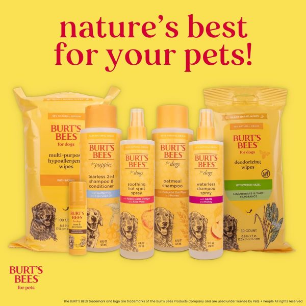 1770416690_81ohuhWO2xL._AC_SL1500_.jpg Burt's Bees for Pets Palm Brush with Hemp Bristles Best Ergonomic Dog Brush To Groom Large Dogs Easy to Hold Dog Brush Handle Reduces Stress On Your Wrist Ideal for Daily Grooming (Pack of 24)