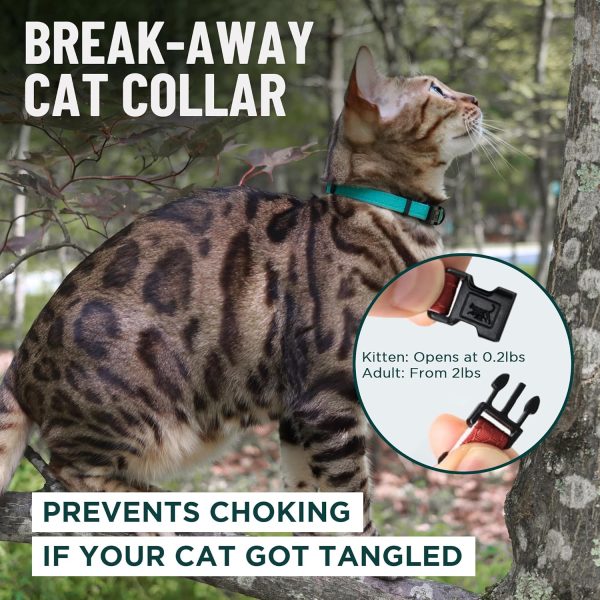 1770709459_81tyUPkT4L._AC_SL1500_.jpg OutdoorBengal Green Cat Collar Breakaway, Soft Padding for Medium to Large Cats - Durable Heavy Duty Tactical Fabric, Comfortable, Quick Release Breakaway Cat Collars, No Bell Collar (Green, Adult)