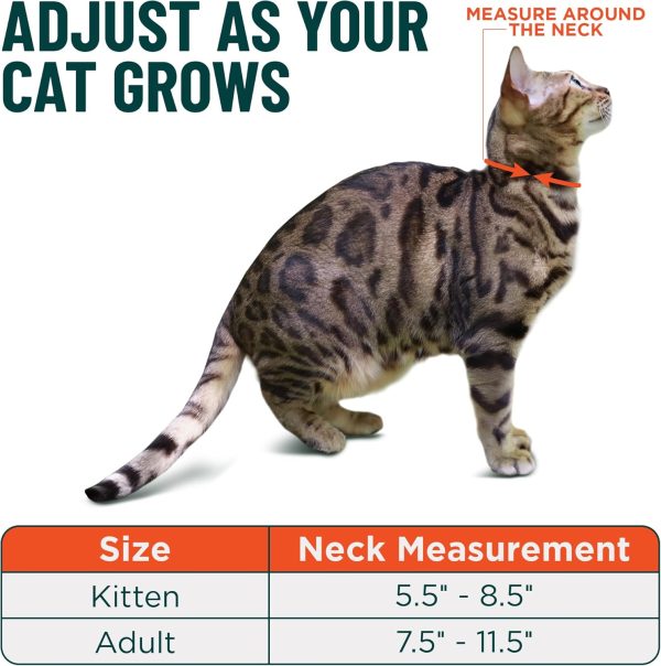 1770709461_711KrlKadnL._AC_SL1500_.jpg OutdoorBengal Green Cat Collar Breakaway, Soft Padding for Medium to Large Cats - Durable Heavy Duty Tactical Fabric, Comfortable, Quick Release Breakaway Cat Collars, No Bell Collar (Green, Adult)