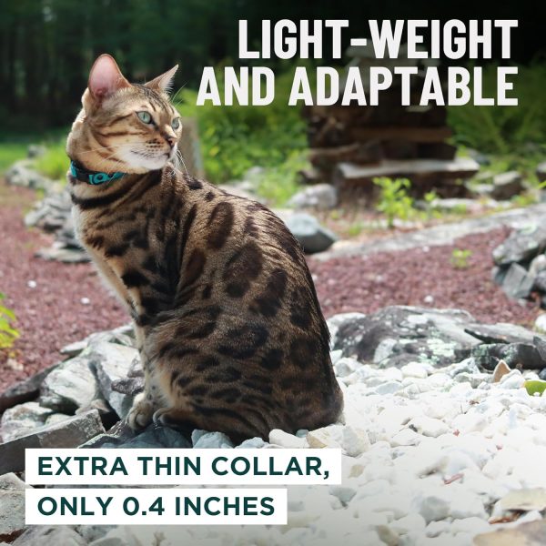 1770709461_81xe8SBDkSL._AC_SL1500_.jpg OutdoorBengal Green Cat Collar Breakaway, Soft Padding for Medium to Large Cats - Durable Heavy Duty Tactical Fabric, Comfortable, Quick Release Breakaway Cat Collars, No Bell Collar (Green, Adult)
