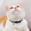 611CO1PUmNL._AC_SL1500_.jpg MJIYA Cat Collar with Bell, Breakaway Grid Collar with Plastic Buckle, Light Adjustable, Nylon, Kitty Collars