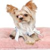 61VS6Vrt74L._AC_SL1500_.jpg Extra Small Dog Crate Pad 18 x 12 Dog Beds for Tiny Dogs Deluxe Corduroy Fleece Fluffy Comfy Kennel Pad Washable Cute Flat Cat Bed Mat Pink Pet Sleeping Cushion for Mini Small Puppy Breeds XS