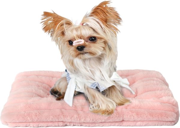 61VS6Vrt74L._AC_SL1500_.jpg Extra Small Dog Crate Pad 18 x 12 Dog Beds for Tiny Dogs Deluxe Corduroy Fleece Fluffy Comfy Kennel Pad Washable Cute Flat Cat Bed Mat Pink Pet Sleeping Cushion for Mini Small Puppy Breeds XS