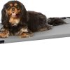 Amazon Basics Cooling Breathable Elevated Dog Bed with Metal Frame for Small Dogs, 36 x 22 x 7.5 Inch, Grey