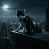 61jbPraqOyL._AC_SL1500_.jpg Black Bat Cat Mask and Cloak Costume for Indoor Cats, Funny Superhero Pet Outfit for Christmas, Cosplay, Parties and Photoshoots, Hooded Cape for Cats β Big Size