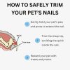 61xEICbqSgL._AC_SL1500_.jpg AIXINPET Dog & Cat Nail Clippers and Trimmers - with Free Nail File, Protective Guard to Avoid Over Cutting, Extra Sharp Blade - Suitable for Small to Large Dogs, Puppies, Birds and Rabbits (Large)