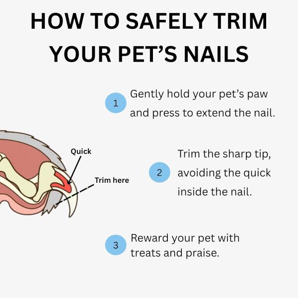 61xEICbqSgL._AC_SL1500_.jpg AIXINPET Dog & Cat Nail Clippers and Trimmers - with Free Nail File, Protective Guard to Avoid Over Cutting, Extra Sharp Blade - Suitable for Small to Large Dogs, Puppies, Birds and Rabbits (Large)