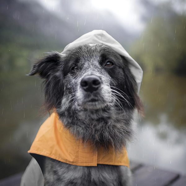 Dog Raincoat with Reflective Strip, Ultra Light Breathable Waterproof Dog Rain Jacket, Adjustable Waterproof Dog Raincoat with Hood, Suitable for Small, Medium, and Large Dogs (Grey, L)