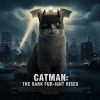 712iU3v2hkL._AC_SL1500_.jpg Black Bat Cat Mask and Cloak Costume for Indoor Cats, Funny Superhero Pet Outfit for Christmas, Cosplay, Parties and Photoshoots, Hooded Cape for Cats β Big Size