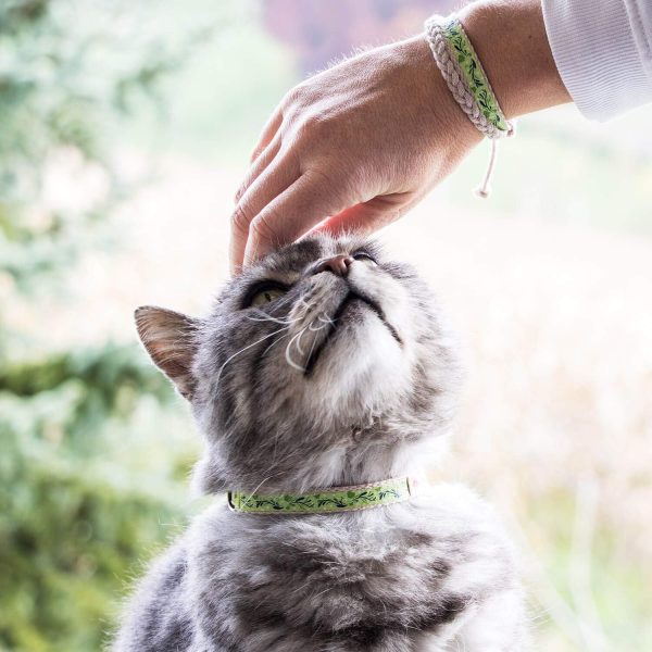 716WEl9Oo-L._AC_SL1500_.jpg Pettsie Breakaway Cat Collar & Matching Friendship Bracelet – Adjustable, Soft Cotton Collar for Cats, Quick-Release Safety Buckle, Lightweight, Stylish, Designed for Cat Lovers, Green