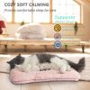 7198pPuQcNL._AC_SL1500_.jpg Extra Small Dog Crate Pad 18 x 12 Dog Beds for Tiny Dogs Deluxe Corduroy Fleece Fluffy Comfy Kennel Pad Washable Cute Flat Cat Bed Mat Pink Pet Sleeping Cushion for Mini Small Puppy Breeds XS