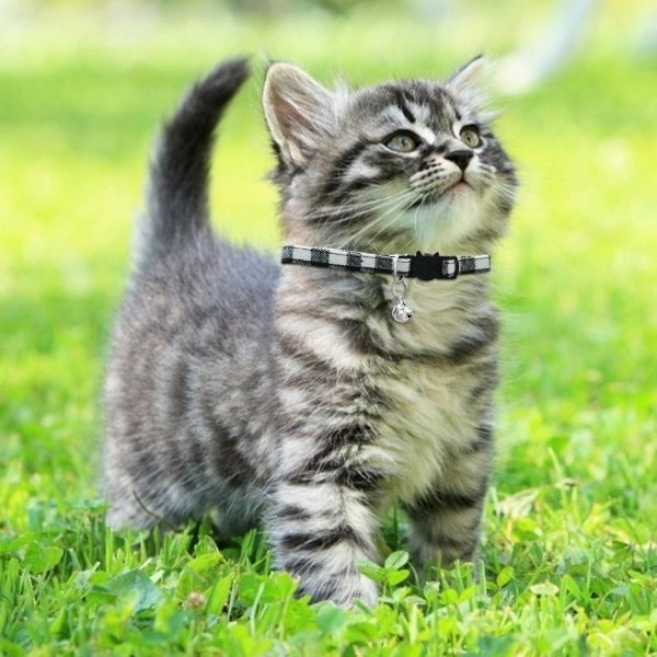 71J8FeC1HL._AC_SL1500_.jpg MJIYA Cat Collar with Bell, Breakaway Grid Collar with Plastic Buckle, Light Adjustable, Nylon, Kitty Collars
