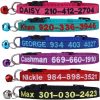 71R-Wc0fMaL._AC_SL1200_.jpg Cat Collar,Personalized Embroidered Nylon Cat ID Collars with Bell - Custom Text with Pet Name and Phone Number … (Cat Collar)