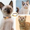 71XWqF9SouL._AC_SL1500_.jpg ZUFECY Colorful Gradient Breakaway Cat Collar - Adjustable 5.9-11.8in with Safety Bell & Reflective Strips