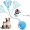 71YrWUj8hXL._AC_SL1500_.jpg Interactive Cat Toys for Indoor Cats & Dogs, Agile Moving Cat Ball with Elastic Mesh Tail, Rechargeable Enrichment Toys, Smart Automatic Rolling Pet Ball Toys for Bored Indoor Dogs & Cats (Blue)