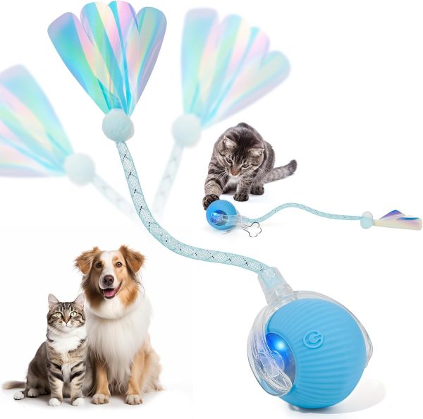 71YrWUj8hXL._AC_SL1500_.jpg Interactive Cat Toys for Indoor Cats & Dogs, Agile Moving Cat Ball with Elastic Mesh Tail, Rechargeable Enrichment Toys, Smart Automatic Rolling Pet Ball Toys for Bored Indoor Dogs & Cats (Blue)