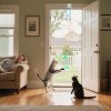 71bOgv5WfdL._AC_SL1500_.jpg Interactive Cat Toys for Indoor Cats Automatic Electric Flying Bird Feather Mouse Toy - Best Kitten & Adult Cat Enrichment Mouse cat Toy Hanging Electric Kitty Toys for Bored Cats