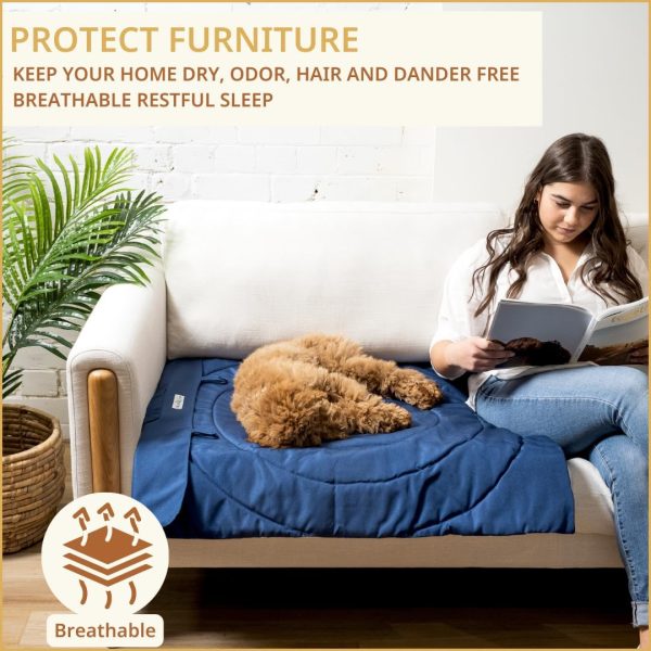 71cPjW6LyLL._AC_SL1080_.jpg Portable Dog Mat - Waterproof & Foldable Pet Bed - Ideal for Indoor, Outdoor, Cafes, Travel, Camping, Grooming & Training - 39"x30" - Includes Carry Bag - Durable, Washable & Lightweight - Blue