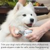 71iPpEgvjML._AC_SL1500_.jpg AIXINPET Dog & Cat Nail Clippers and Trimmers - with Free Nail File, Protective Guard to Avoid Over Cutting, Extra Sharp Blade - Suitable for Small to Large Dogs, Puppies, Birds and Rabbits (Large)