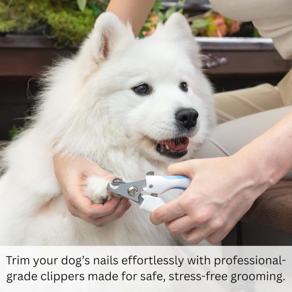 71iPpEgvjML._AC_SL1500_.jpg AIXINPET Dog & Cat Nail Clippers and Trimmers - with Free Nail File, Protective Guard to Avoid Over Cutting, Extra Sharp Blade - Suitable for Small to Large Dogs, Puppies, Birds and Rabbits (Large)