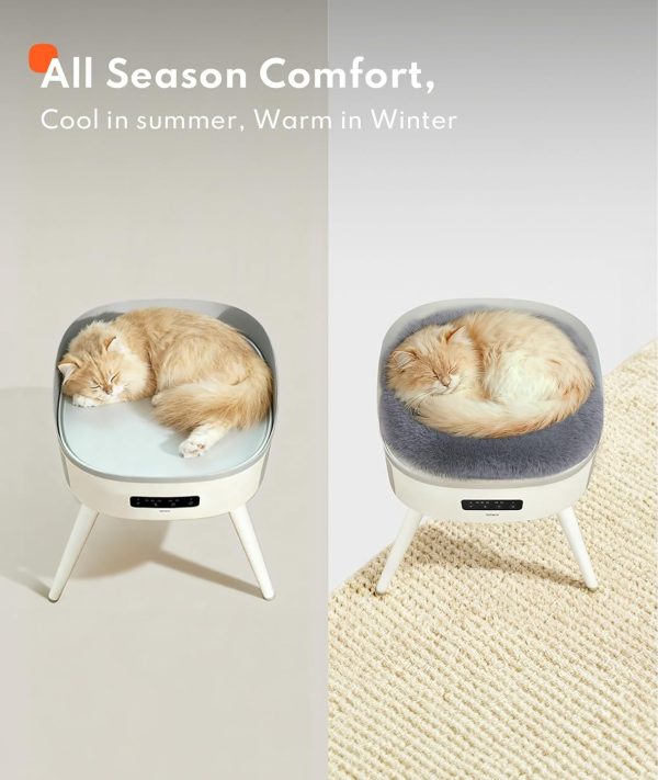 71smeKxRuzL._AC_SL1500_.jpg HomeRunPet Pet-Safe Space Heater with Heated Cat Bed - 2-in-1 Ceramic Heater for Room & Pets, 1300W Fast Heat, Energy Saving