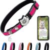 71ydGEBZ0TL._AC_SL1500_.jpg Cat Collar with Bells Reflective Cat Collars Breakaway with Oxford Cloth Soft Padding Adjustable Kitten Collar with QR Code(Hotpink)