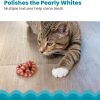 81NyhpzOiL._AC_SL1500_.jpg Catstages Plaque Away Pretzel Cat Toy – Interactive Catnip Dental Chew Toy to Help Clean Teeth, Fun for Play and Chewing, Orange