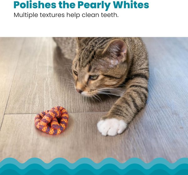 81NyhpzOiL._AC_SL1500_.jpg Catstages Plaque Away Pretzel Cat Toy – Interactive Catnip Dental Chew Toy to Help Clean Teeth, Fun for Play and Chewing, Orange