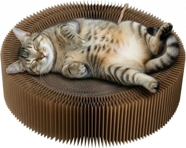 Cat Scratcher Lounge Bed - Collapsible Magic Organ Round Shape Cat Bed 20.5 inches, Scratching Pet Bed Hold Weight up to 25lb for Indoor Small Big Cats