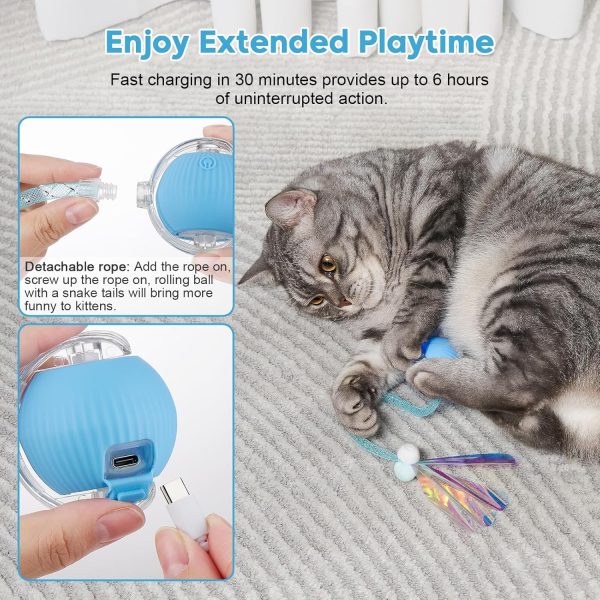 81AaGuEpCL._AC_SL1500_.jpg Interactive Cat Toys for Indoor Cats & Dogs, Agile Moving Cat Ball with Elastic Mesh Tail, Rechargeable Enrichment Toys, Smart Automatic Rolling Pet Ball Toys for Bored Indoor Dogs & Cats (Blue)