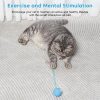 81BdPs9gsIL._AC_SL1500_.jpg Interactive Cat Toys for Indoor Cats & Dogs, Agile Moving Cat Ball with Elastic Mesh Tail, Rechargeable Enrichment Toys, Smart Automatic Rolling Pet Ball Toys for Bored Indoor Dogs & Cats (Blue)