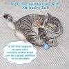 81FEZXbghWL._AC_SL1500_.jpg Interactive Cat Toys for Indoor Cats & Dogs, Agile Moving Cat Ball with Elastic Mesh Tail, Rechargeable Enrichment Toys, Smart Automatic Rolling Pet Ball Toys for Bored Indoor Dogs & Cats (Blue)