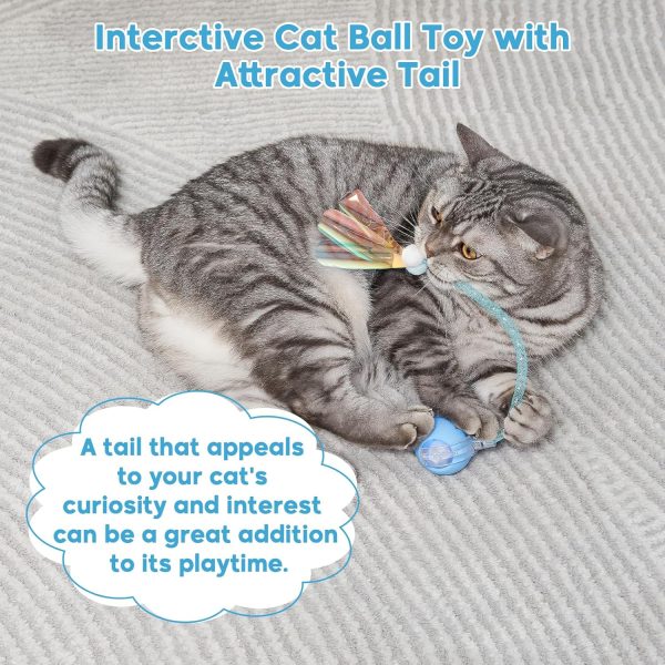 81FEZXbghWL._AC_SL1500_.jpg Interactive Cat Toys for Indoor Cats & Dogs, Agile Moving Cat Ball with Elastic Mesh Tail, Rechargeable Enrichment Toys, Smart Automatic Rolling Pet Ball Toys for Bored Indoor Dogs & Cats (Blue)