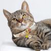 81J0SUGYX8L._AC_SL1500_.jpg 2 Pack Cotton Breakaway Cat Collars Set with Bell and Flower Pendant, Cute Floral Fruit Patterned, Adjustable 7.5-11Inch, Include A Mouse Toy Gift