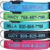 81SBcwIy5uL._AC_SL1200_.jpg Personalized Dog Collar, Custom Embroidered Pet Name and Phone Number 4 Adjustable Sizes X-Small Small Medium Large Quick Release Buckle and D-Ring