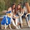 81VcQ0W8RIL._AC_SL1500_.jpg Small Dog Graduation Cap and Gown 2026 with Stole Washable Shirt and Hat Pet Graduation Gown Costume Outfit for Tiny Dog Little Cat Doll Clothes Holiday Halloween Costume Accessory(Blue)