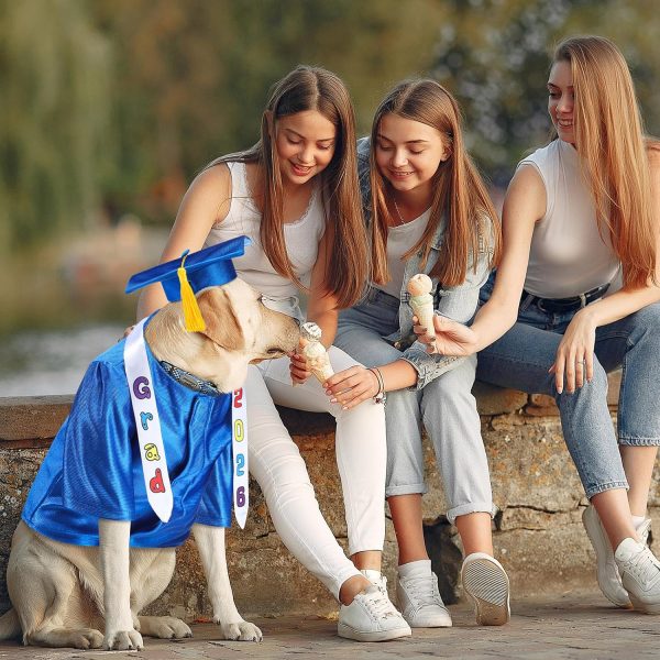 81VcQ0W8RIL._AC_SL1500_.jpg Small Dog Graduation Cap and Gown 2026 with Stole Washable Shirt and Hat Pet Graduation Gown Costume Outfit for Tiny Dog Little Cat Doll Clothes Holiday Halloween Costume Accessory(Blue)