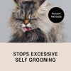 Eye Envy ProGlide 6" Cat Comb. Deshedding and Detangling Comb. Removes undercoat, shedding hair, tangles and knots. Prevents matted fur. Gentle rounded pins of two lengths
