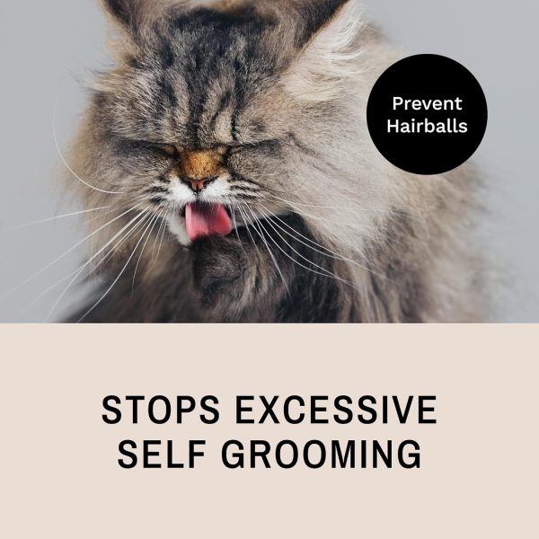 Eye Envy ProGlide 6" Cat Comb. Deshedding and Detangling Comb. Removes undercoat, shedding hair, tangles and knots. Prevents matted fur. Gentle rounded pins of two lengths