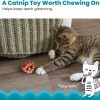 91FmT40wOHL._AC_SL1500_.jpg Catstages Plaque Away Pretzel Cat Toy – Interactive Catnip Dental Chew Toy to Help Clean Teeth, Fun for Play and Chewing, Orange