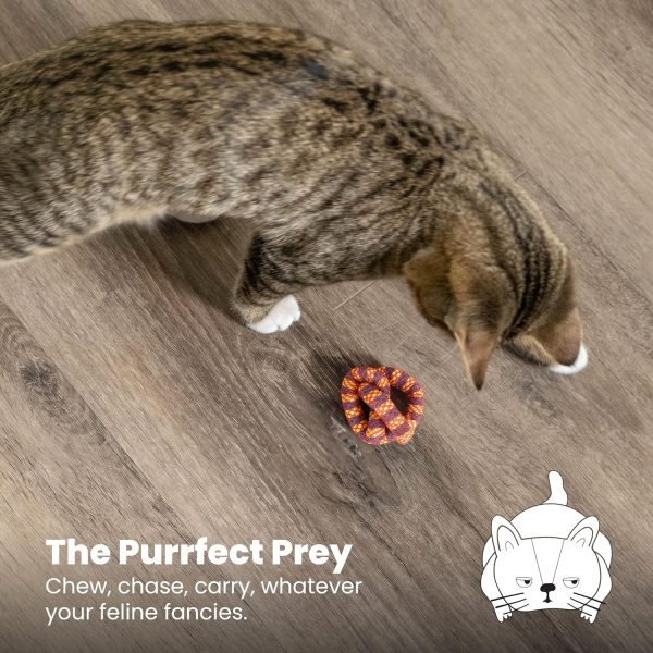 91LM0ZFZADL._AC_SL1500_.jpg Catstages Plaque Away Pretzel Cat Toy – Interactive Catnip Dental Chew Toy to Help Clean Teeth, Fun for Play and Chewing, Orange