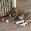 91ho-cIQiWL._AC_SL1500_.jpg Catstages Plaque Away Pretzel Cat Toy – Interactive Catnip Dental Chew Toy to Help Clean Teeth, Fun for Play and Chewing, Orange